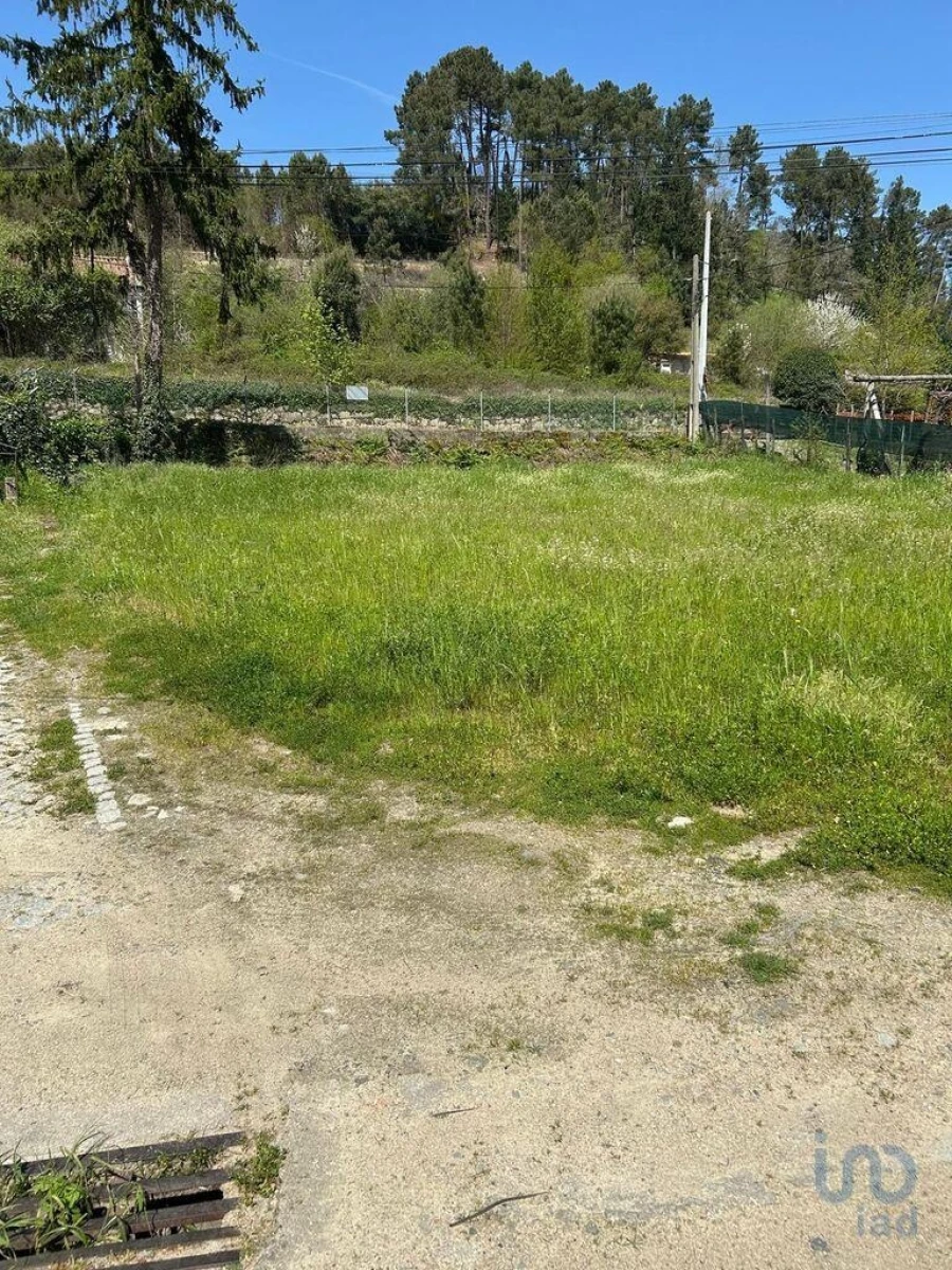 Terreno para Venda em Parada de Cunhos Foto 4