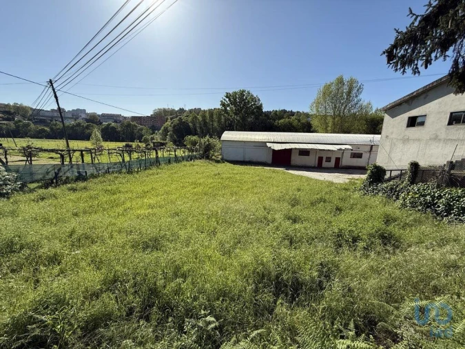 Terreno para Venda em Parada de Cunhos Foto 11