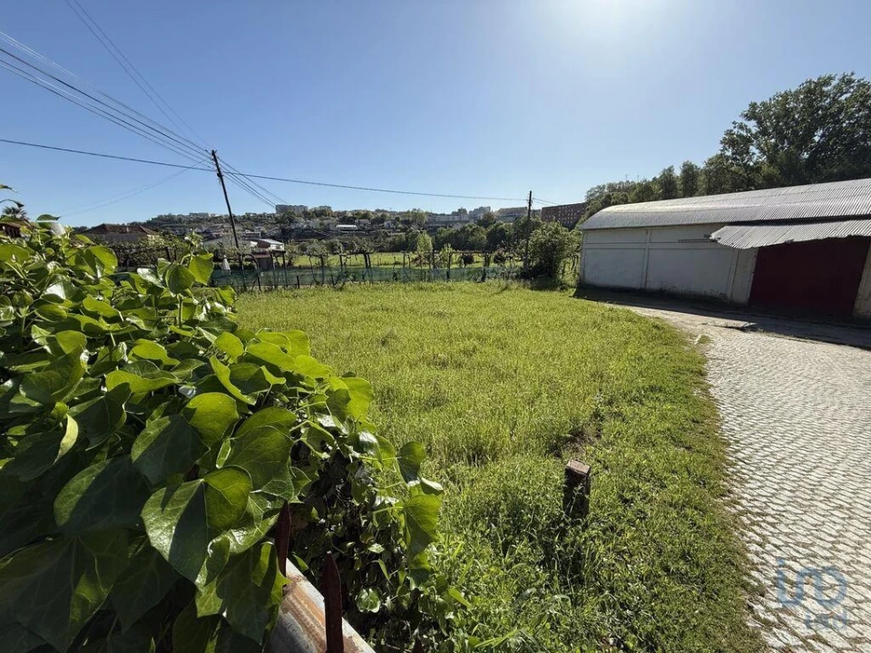 Terreno para Venda em Parada de Cunhos Foto 9