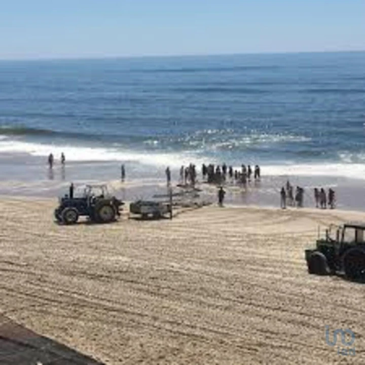 Terreno para Venda em Vieira de Leiria Foto 13