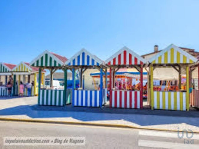 Terreno para Venda em Vieira de Leiria Foto 10