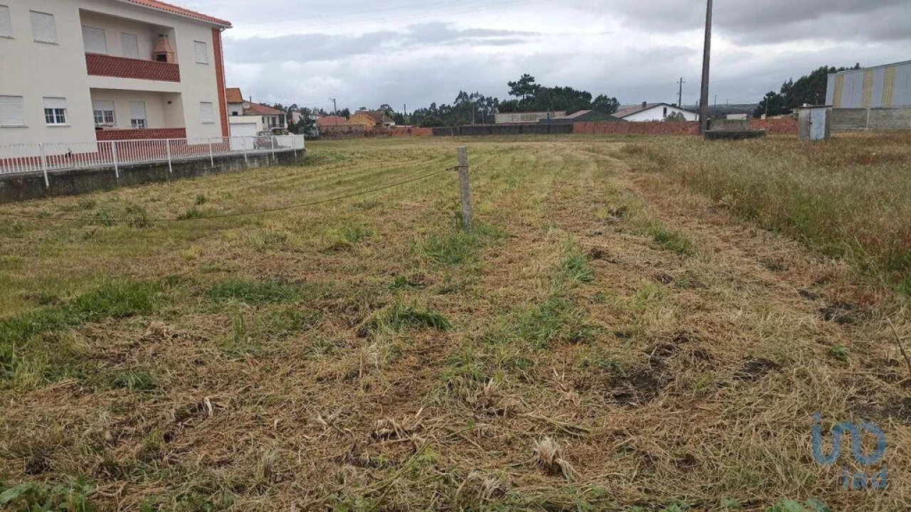 Terreno para Venda em Vieira de Leiria Foto 9