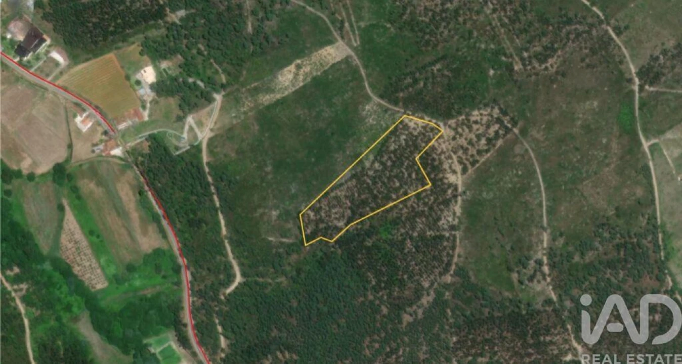 Terreno para Venda em Rio de Couros e Casal dos Bernardos Foto 28