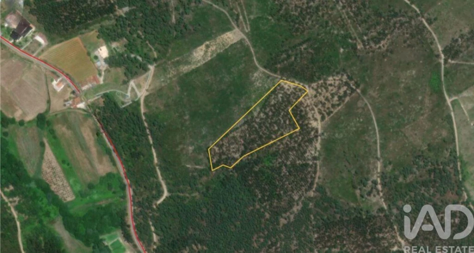 Terreno para Venda em Rio de Couros e Casal dos Bernardos Foto 28