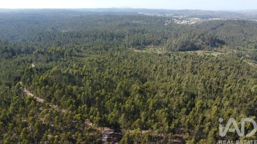 Terreno para Venda em Rio de Couros e Casal dos Bernardos Foto 29