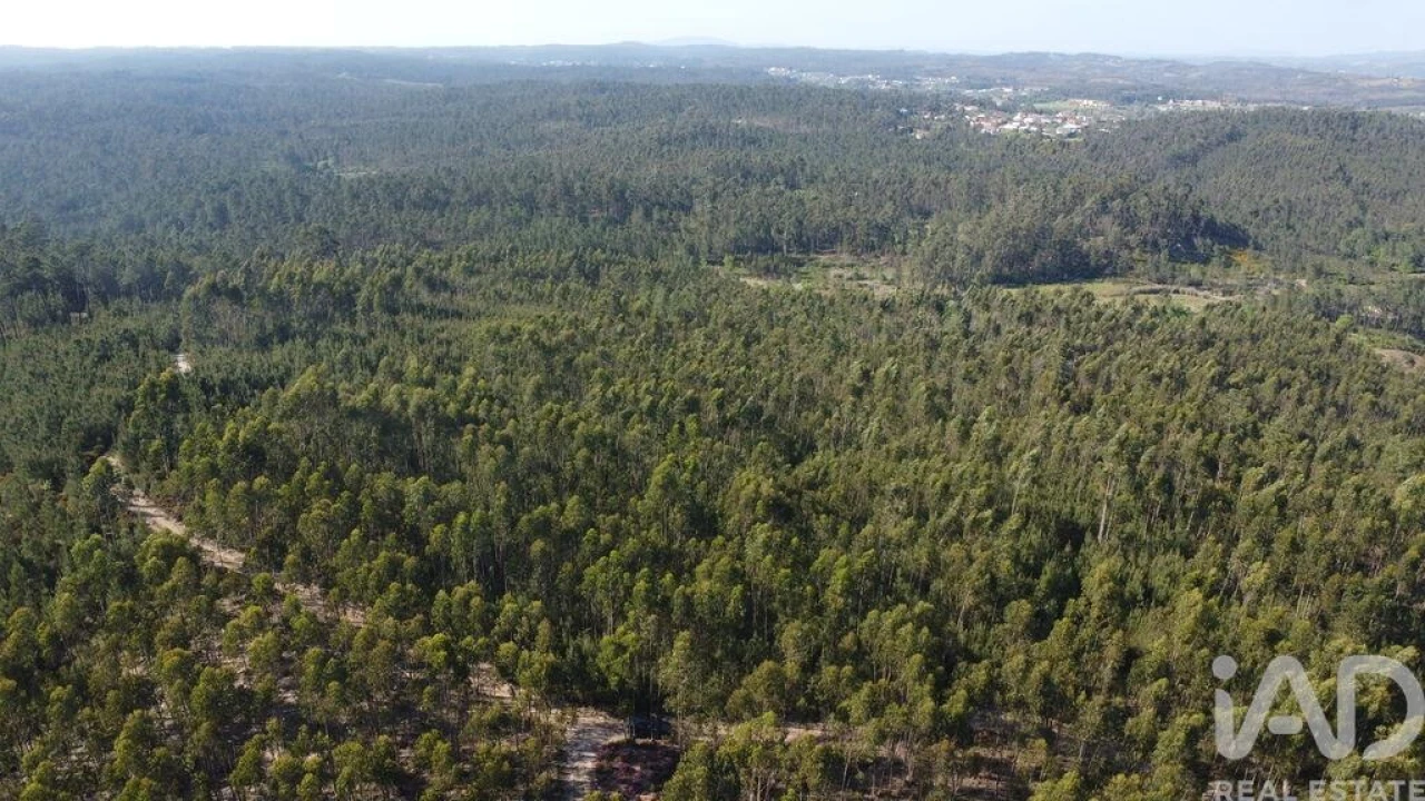 Terreno para Venda em Rio de Couros e Casal dos Bernardos Foto 29