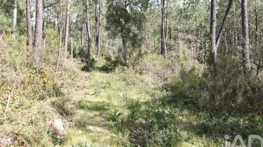 Terreno para Venda em Rio de Couros e Casal dos Bernardos