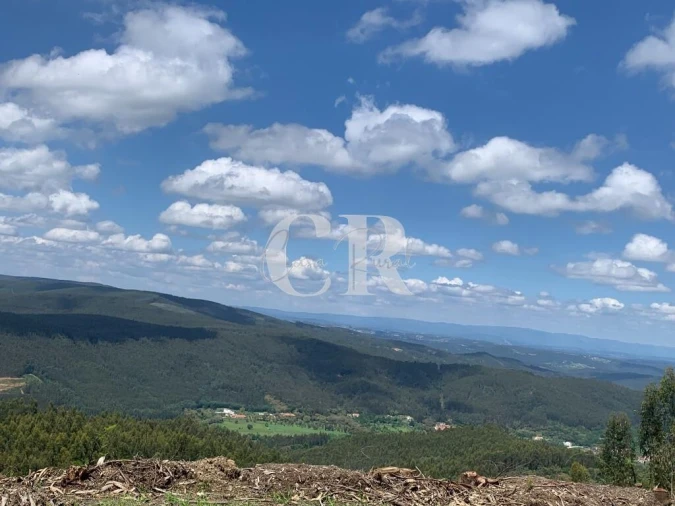 Moradia T2 para Venda em Gois Foto 46