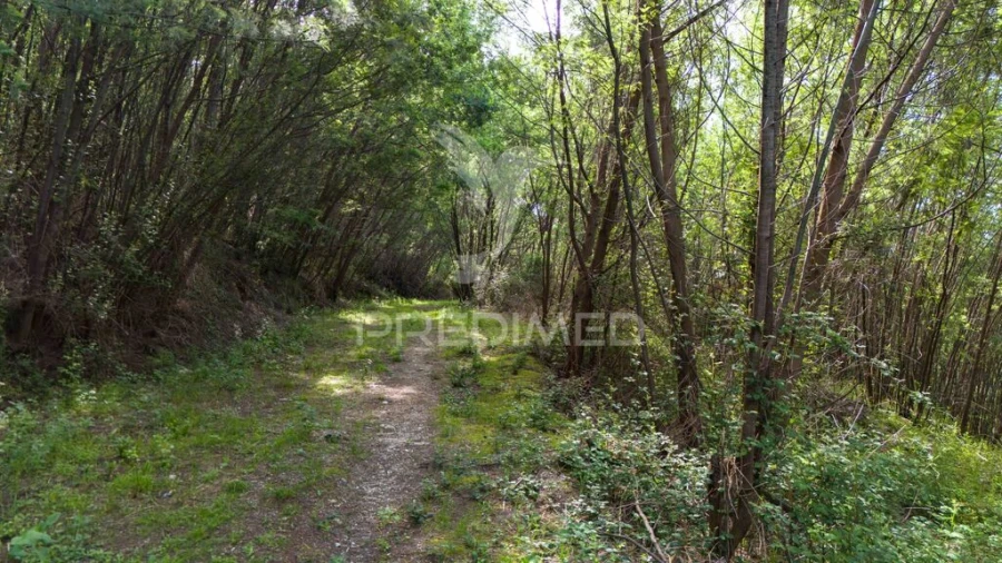 Terreno para Venda em Verim, Friande e Ajude Foto 19