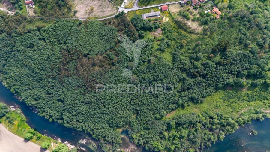 Terreno para Venda em Verim, Friande e Ajude Foto 2