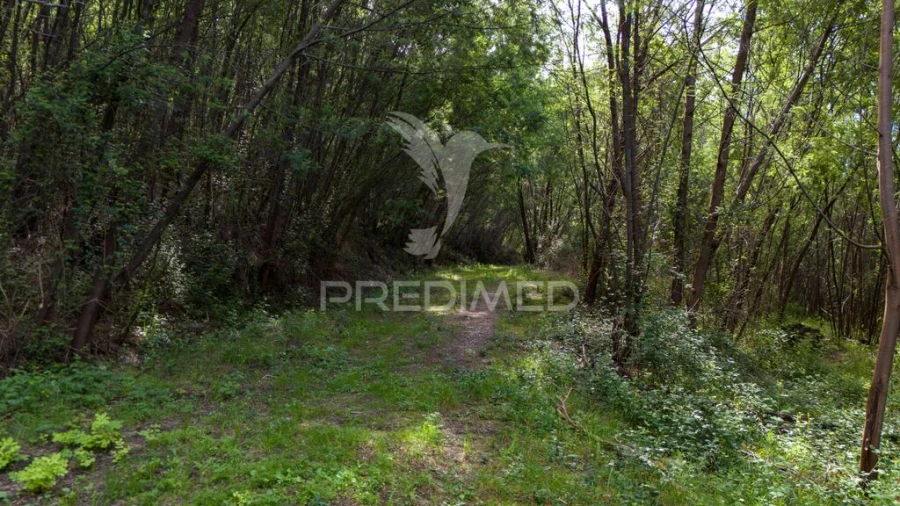 Terreno para Venda em Verim, Friande e Ajude Foto 17