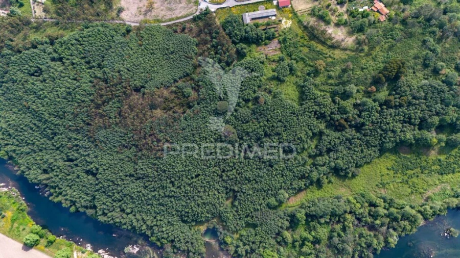 Terreno para Venda em Verim, Friande e Ajude Foto 12