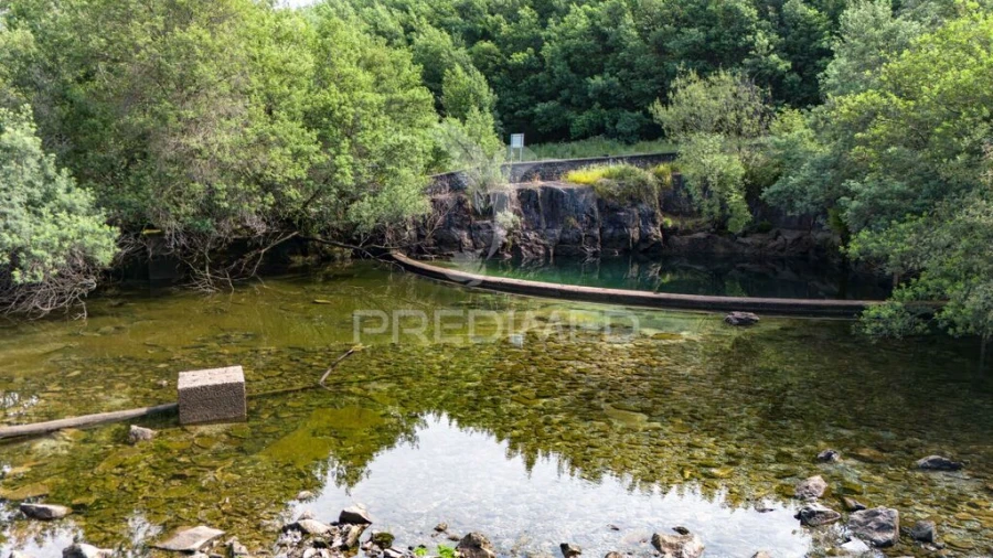 Terreno para Venda em Verim, Friande e Ajude Foto 4