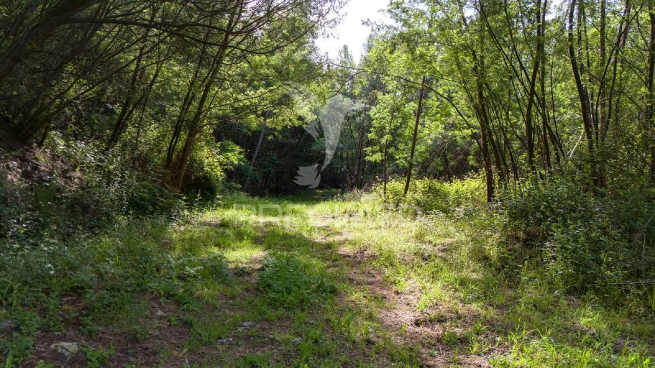 Terreno para Venda em Verim, Friande e Ajude Foto 15