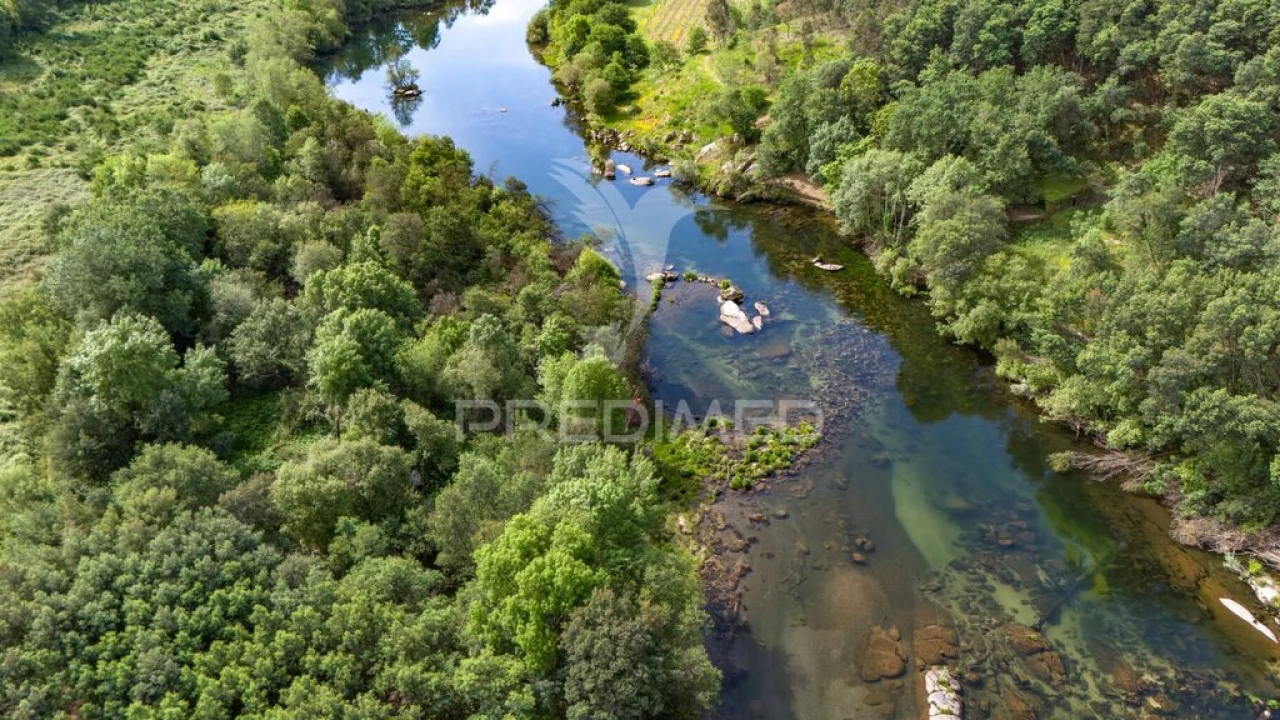 Terreno para Venda em Verim, Friande e Ajude Foto 18