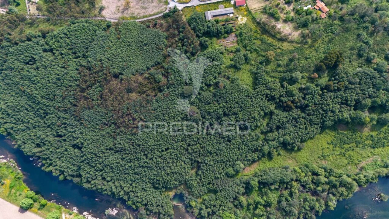 Terreno para Venda em Verim, Friande e Ajude Foto 12