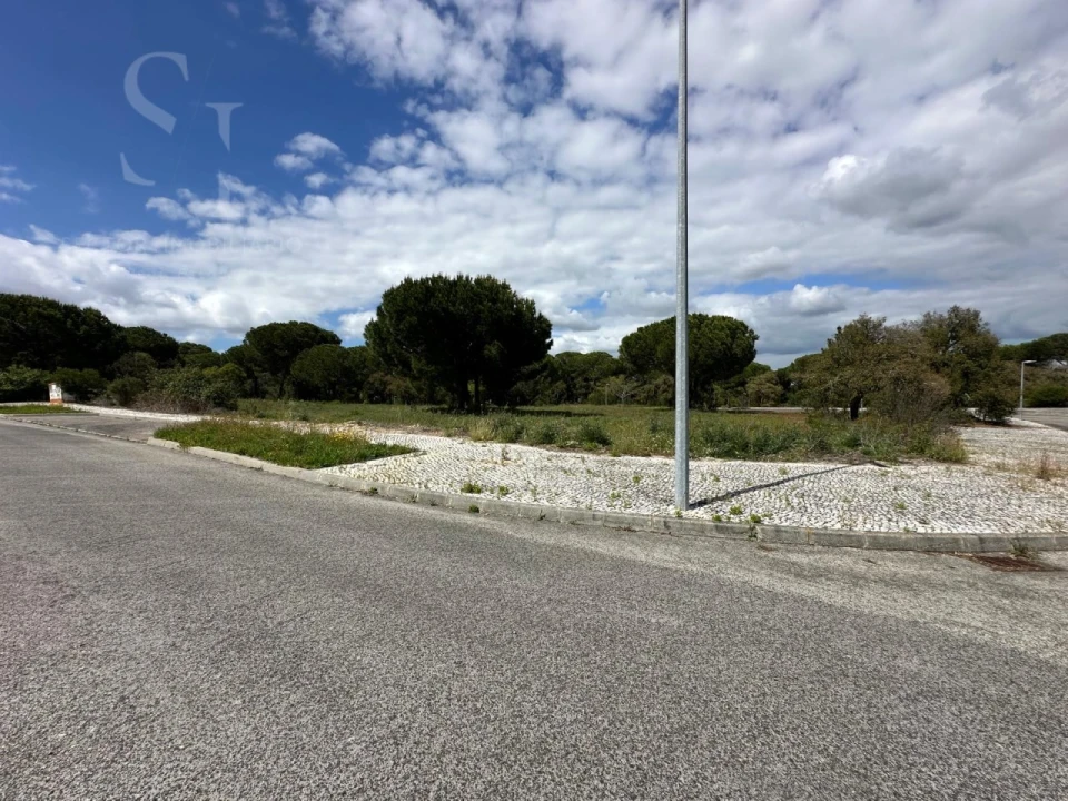 Terreno para Venda em Santo Estêvão Foto 7