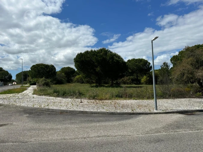 Terreno para Venda em Santo Estêvão Foto 2