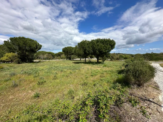 Terreno para Venda em Santo Estêvão Foto 3