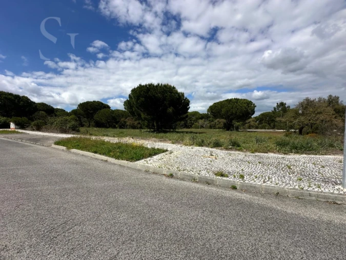 Terreno para Venda em Santo Estêvão Foto 5