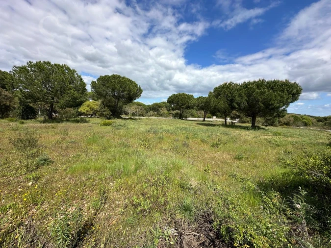 Terreno para Venda em Santo Estêvão Foto 9