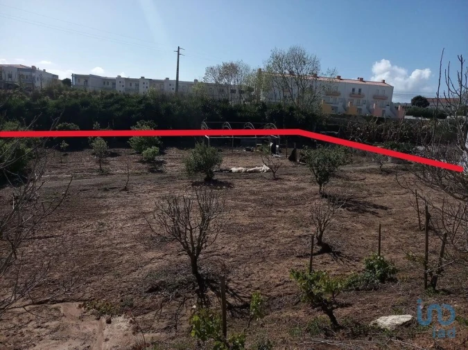 Terreno para Venda em Lourinhã e Atalaia Foto 6