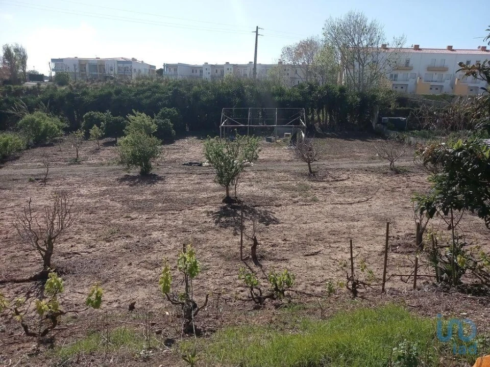 Terreno para Venda em Lourinhã e Atalaia Foto 7