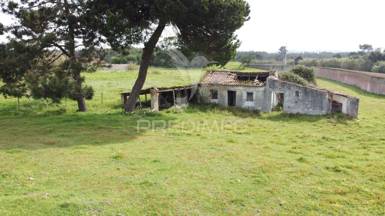 Terreno para Venda em Nossa Senhora do Pópulo, Coto e São Gregório Foto 12