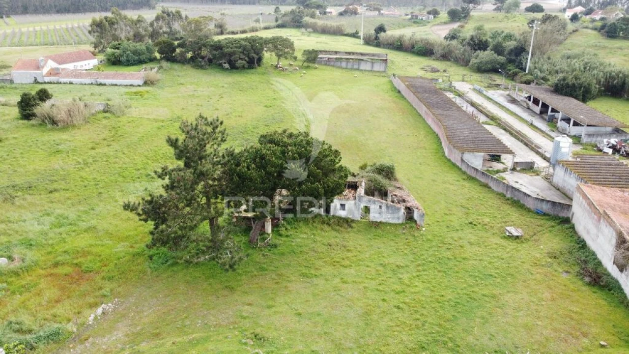 Terreno para Venda em Nossa Senhora do Pópulo, Coto e São Gregório Foto 11