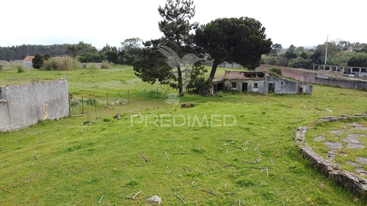 Terreno para Venda em Nossa Senhora do Pópulo, Coto e São Gregório Foto 9