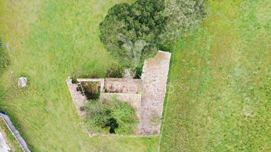 Terreno para Venda em Nossa Senhora do Pópulo, Coto e São Gregório Foto 13