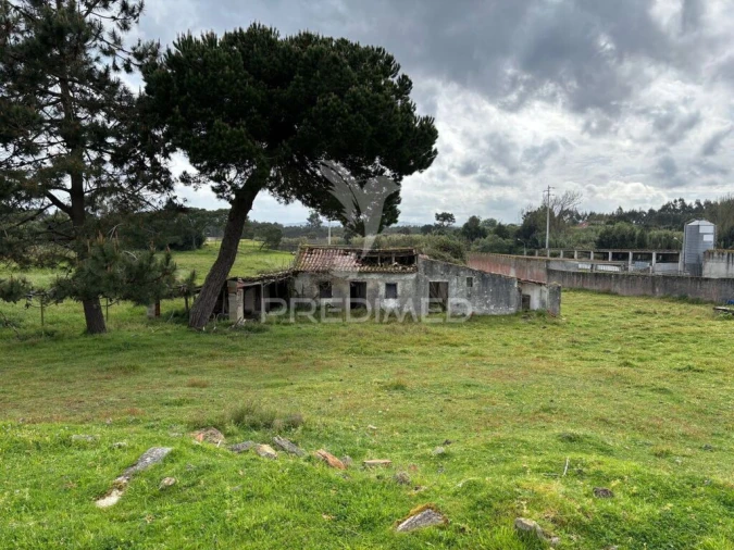 Terreno para Venda em Nossa Senhora do Pópulo, Coto e São Gregório Foto 4