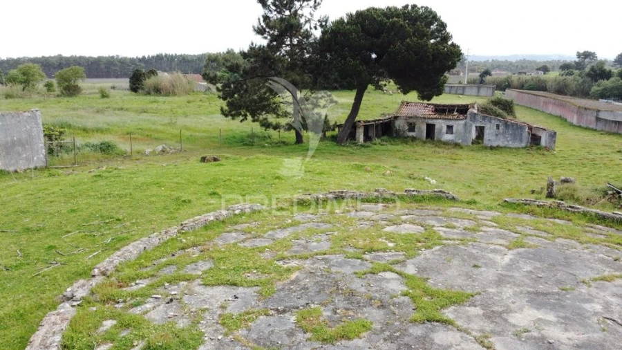 Terreno para Venda em Nossa Senhora do Pópulo, Coto e São Gregório Foto 5