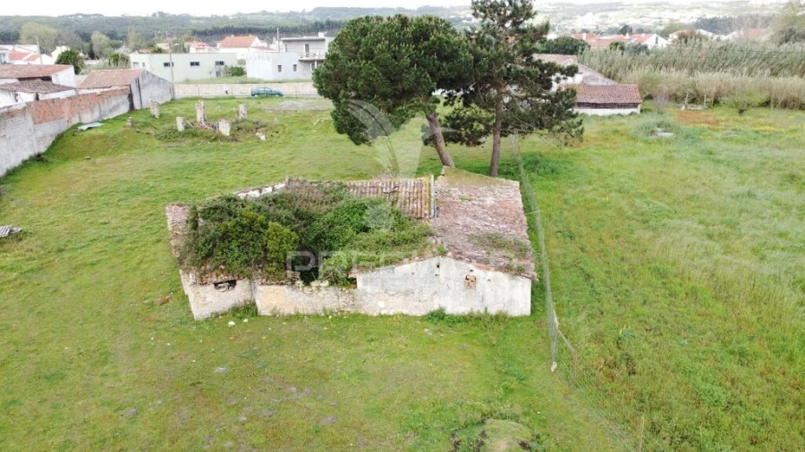 Terreno para Venda em Nossa Senhora do Pópulo, Coto e São Gregório Foto 15