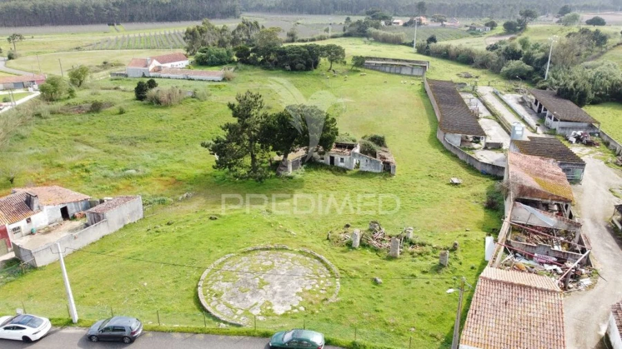 Terreno para Venda em Nossa Senhora do Pópulo, Coto e São Gregório Foto 7