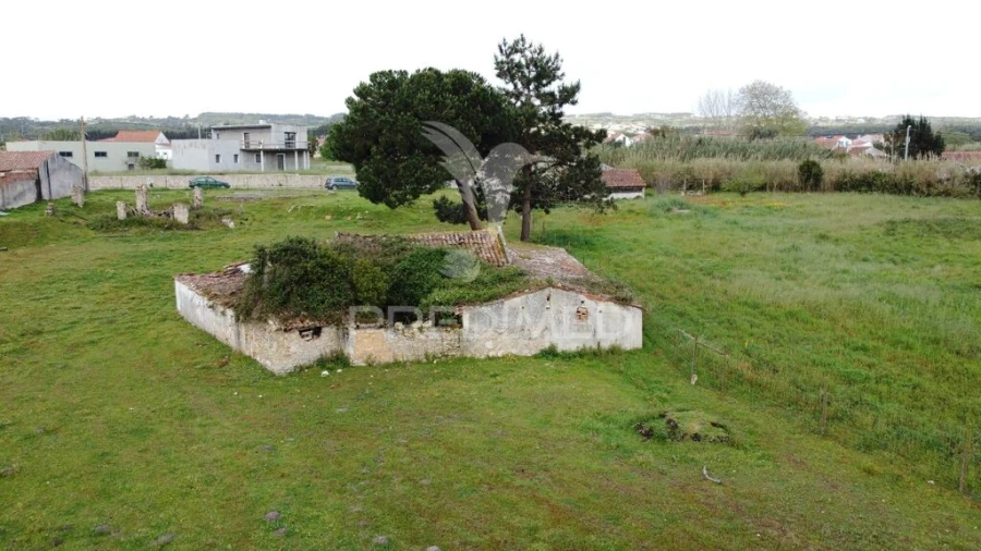 Terreno para Venda em Nossa Senhora do Pópulo, Coto e São Gregório Foto 8