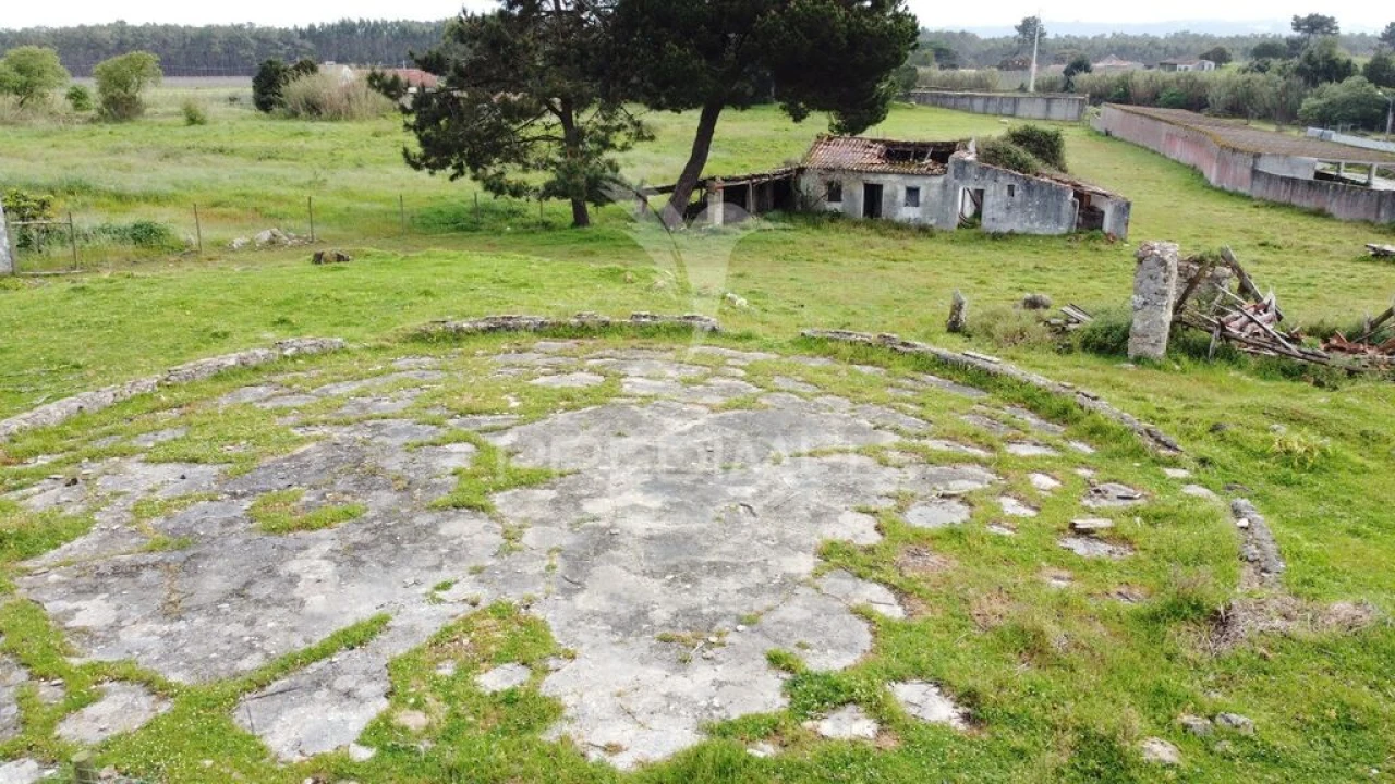 Terreno para Venda em Nossa Senhora do Pópulo, Coto e São Gregório Foto 6