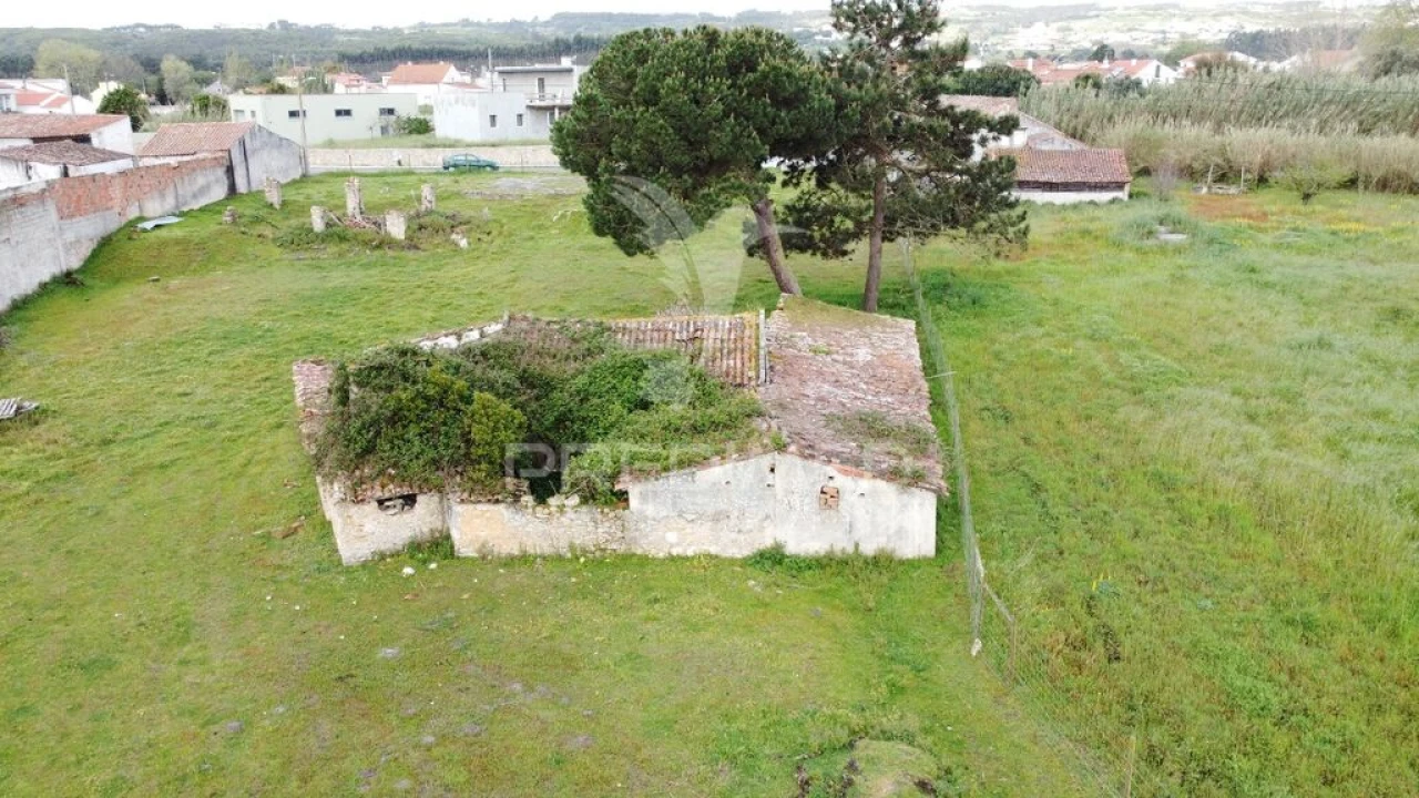 Terreno para Venda em Nossa Senhora do Pópulo, Coto e São Gregório Foto 15