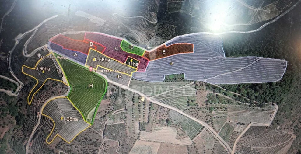 Quinta T3 para Venda em Adorigo Foto 11