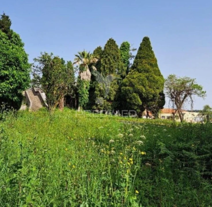 Quinta T4 para Venda em Fiães Foto 7