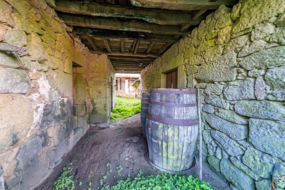 Moradia para Venda em Santa Cruz da Trapa e São Cristóvão de Lafões Foto 8