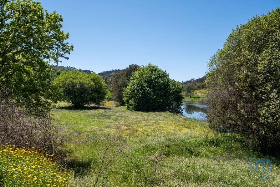 Terreno para Venda em Povoa de Midões Foto 9