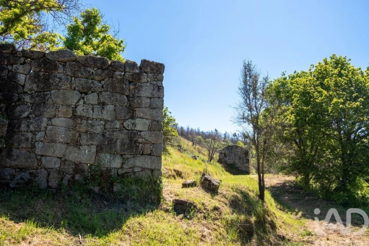 Terreno para Venda em Povoa de Midões Foto 19