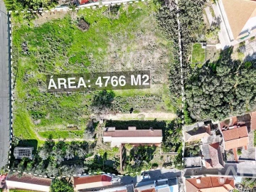 Terreno para Venda em Porto Santo
