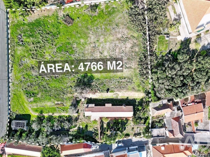 Terreno para Venda em Porto Santo Foto 12