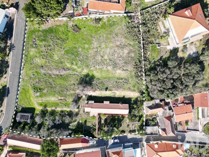 Terreno para Venda em Porto Santo Foto 4