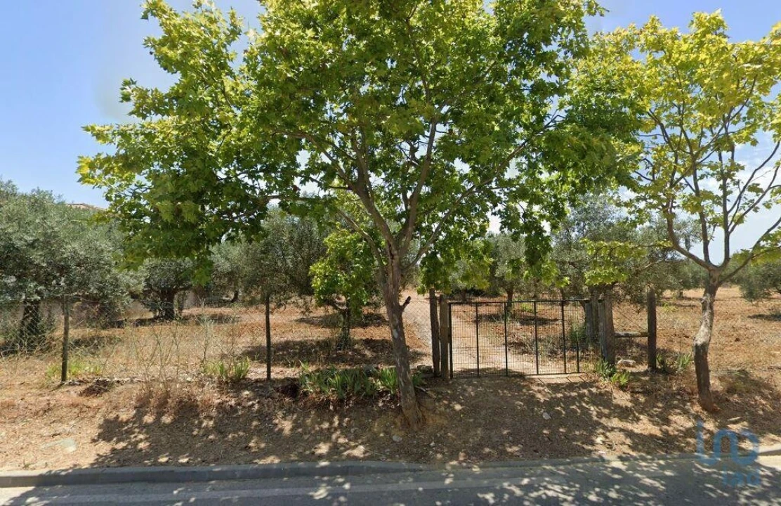 Terreno para Venda em Ferreiras Foto 1