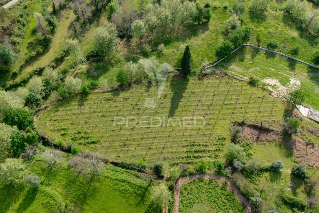 Quinta T3 para Venda em Chorense e Monte Foto 12