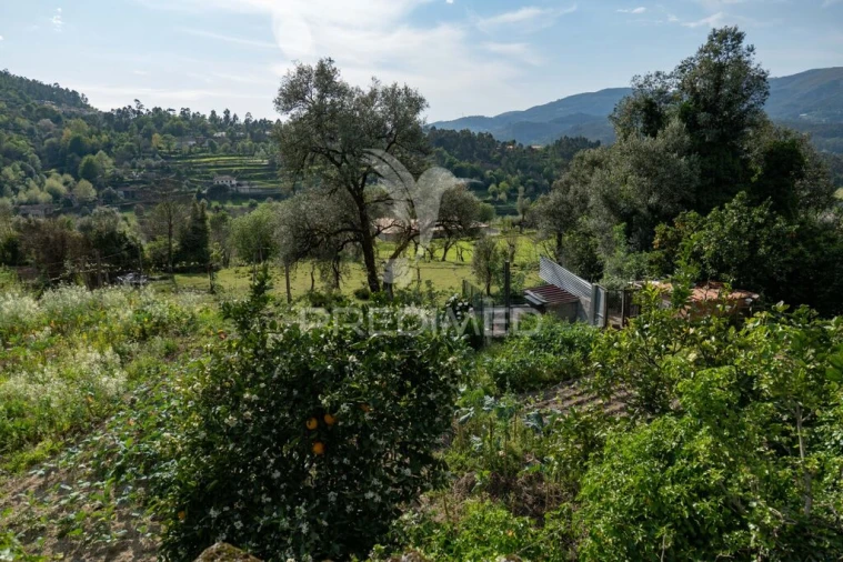 Quinta T3 para Venda em Chorense e Monte Foto 20