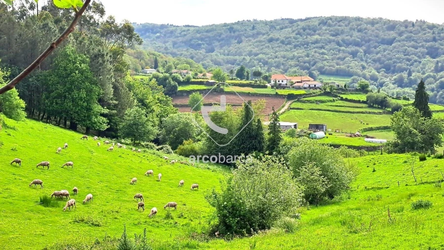 Moradia T3 para Venda em Bico e Cristelo Foto 12